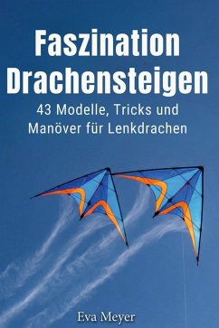 Faszination Drachensteigen - Meyer, Eva