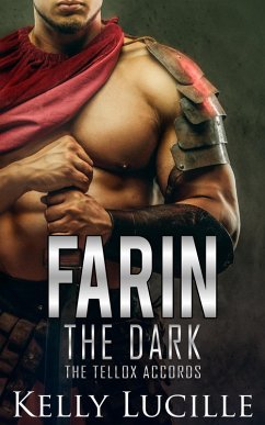 Cover Farin The Dark (eBook, ePUB)