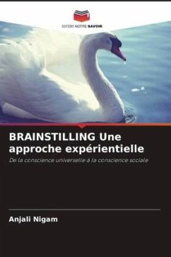 Cover BRAINSTILLING Une approche expérientielle