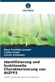 Identifizierung und funktionelle Charakterisierung von AtZFP3