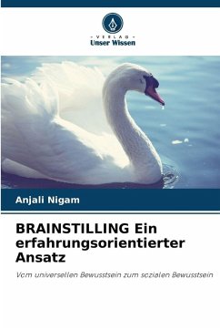 Cover BRAINSTILLING Ein erfahrungsorientierter Ansatz