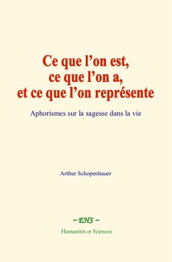 Cover Ce que l'on est, ce que l'on a, et ce que l'on représente (eBook, ePUB)