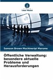 Öffentliche Verwaltung: besondere aktuelle Probleme und Herausforderungen