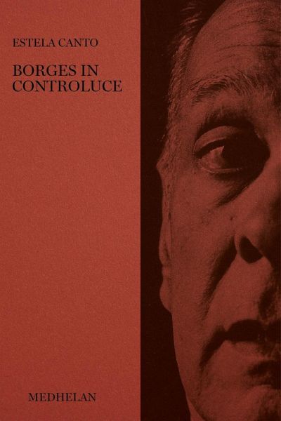 Borges in controluce Borges in controluce