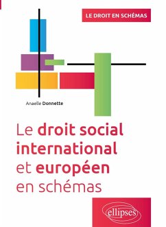 Cover Le droit social international et européen en schémas (eBook, PDF)