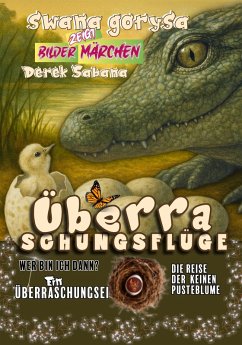 Cover Überraschungsflüge (eBook, ePUB)