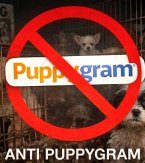 Anti Puppy Gram (eBook, ePUB)