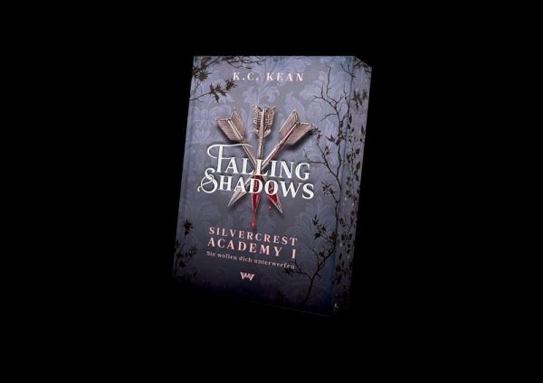 Falling Shadows: Spicy Reverse Harem Dark Romantasy