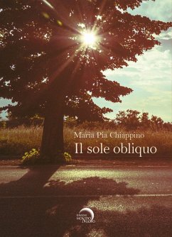 Cover Il sole obliquo