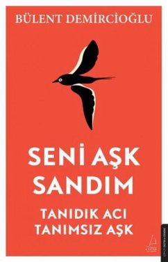 Cover Seni Ask Sandim