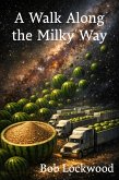 A Walk Along the Milky Way (eBook, ePUB)