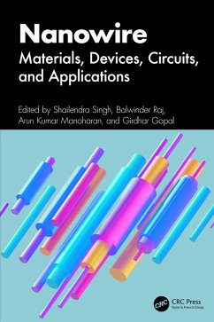 Nanowire (eBook, PDF)