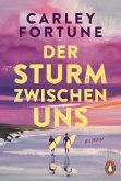 Der Sturm zwischen uns (eBook, ePUB)