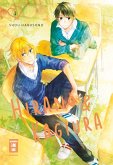 Hirano & Kagiura 01 (eBook, ePUB)