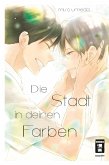 Die Stadt in deinen Farben (eBook, ePUB)