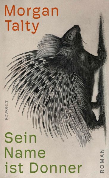 Sein Name ist Donner   (Mängelexemplar)