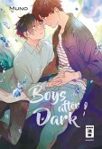 Boys after Dark (eBook, ePUB)