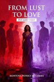 From Lust to Love (eBook, ePUB)