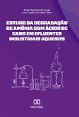 Estudo da degradação de amônia com ácido de caro em efluentes industriais aquosos (eBook, ePUB)
