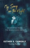 My Song in the Night (eBook, ePUB)
