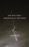 THE BOY WHO GROWLED AT THUNDER (eBook, ePUB)