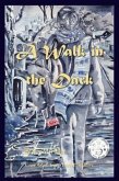 A Walk in the Dark (eBook, ePUB)