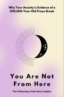 You Are Not From Here (eBook, ePUB)