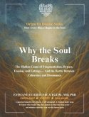 Why the Soul Breaks (eBook, ePUB)