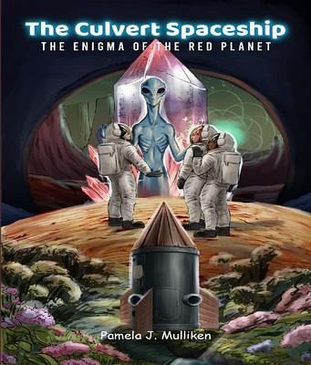 The Culvert Spaceship (eBook, ePUB)