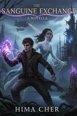 The Rune Thief (eBook, ePUB)