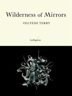 Cover Wilderness of Mirrors