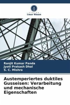 Cover Austemperiertes duktiles Gusseisen: Verarbeitung und mechanische Eigenschaften