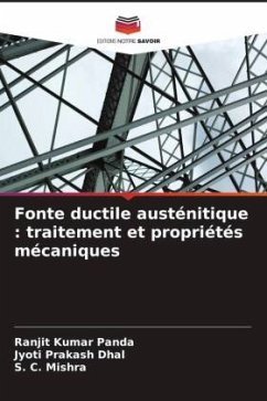 Cover Fonte ductile austénitique : traitement et propriétés mécaniques