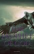 The Prophet of God (eBook, ePUB) - Bild 1