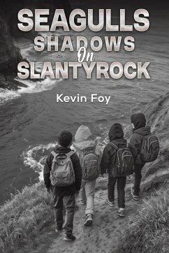 Seagulls Shadows on Slantyrock - Foy, Kevin