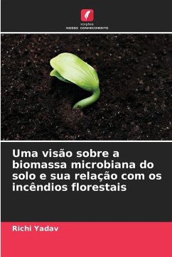 Cover Uma visão sobre a biomassa microbiana do solo e sua relação com os incêndios florestais