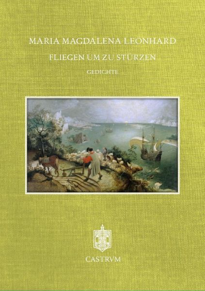 Fliegen um zu stürzen