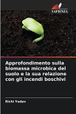 Approfondimento sulla biomassa microbica del suolo e la sua relazione con gli incendi boschivi
