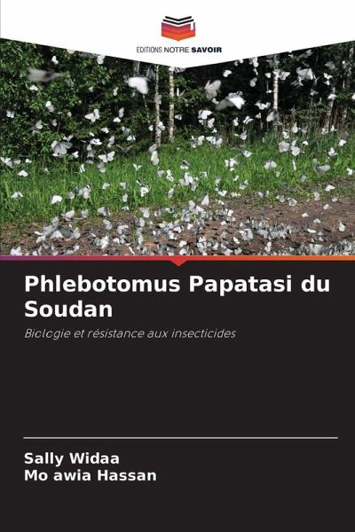 Phlebotomus Papatasi du Soudan