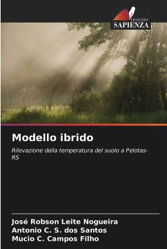 Cover Modello ibrido