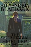 The Secretarial Shelter (eBook, ePUB)