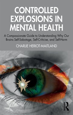 Cover Controlled Explosions in Mental Health (eBook, PDF)