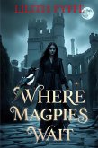 Where Magpies Wait (1, #1) (eBook, ePUB)