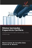 S¿oma karnauba - Copernicia Cerifera