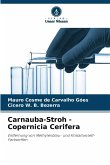 Carnauba-Stroh - Copernicia Cerifera
