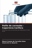 Paille de carnauba - Copernicia Cerifera