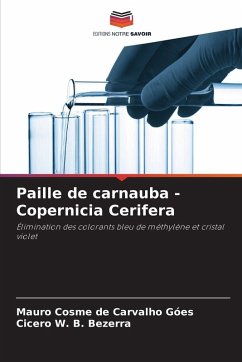 Paille de carnauba - Copernicia Cerifera - Góes, Mauro Cosme de Carvalho;Bezerra, Cicero W. B.