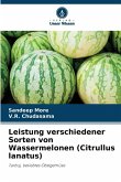Leistung verschiedener Sorten von Wassermelonen (Citrullus lanatus)