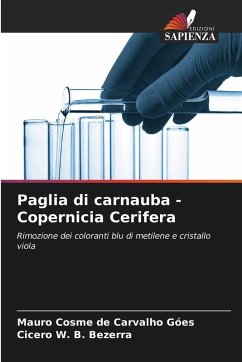 Paglia di carnauba - Copernicia Cerifera - Góes, Mauro Cosme de Carvalho;Bezerra, Cicero W. B.