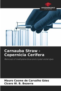 Carnauba Straw - Copernicia Cerifera - Góes, Mauro Cosme de Carvalho;Bezerra, Cicero W. B.